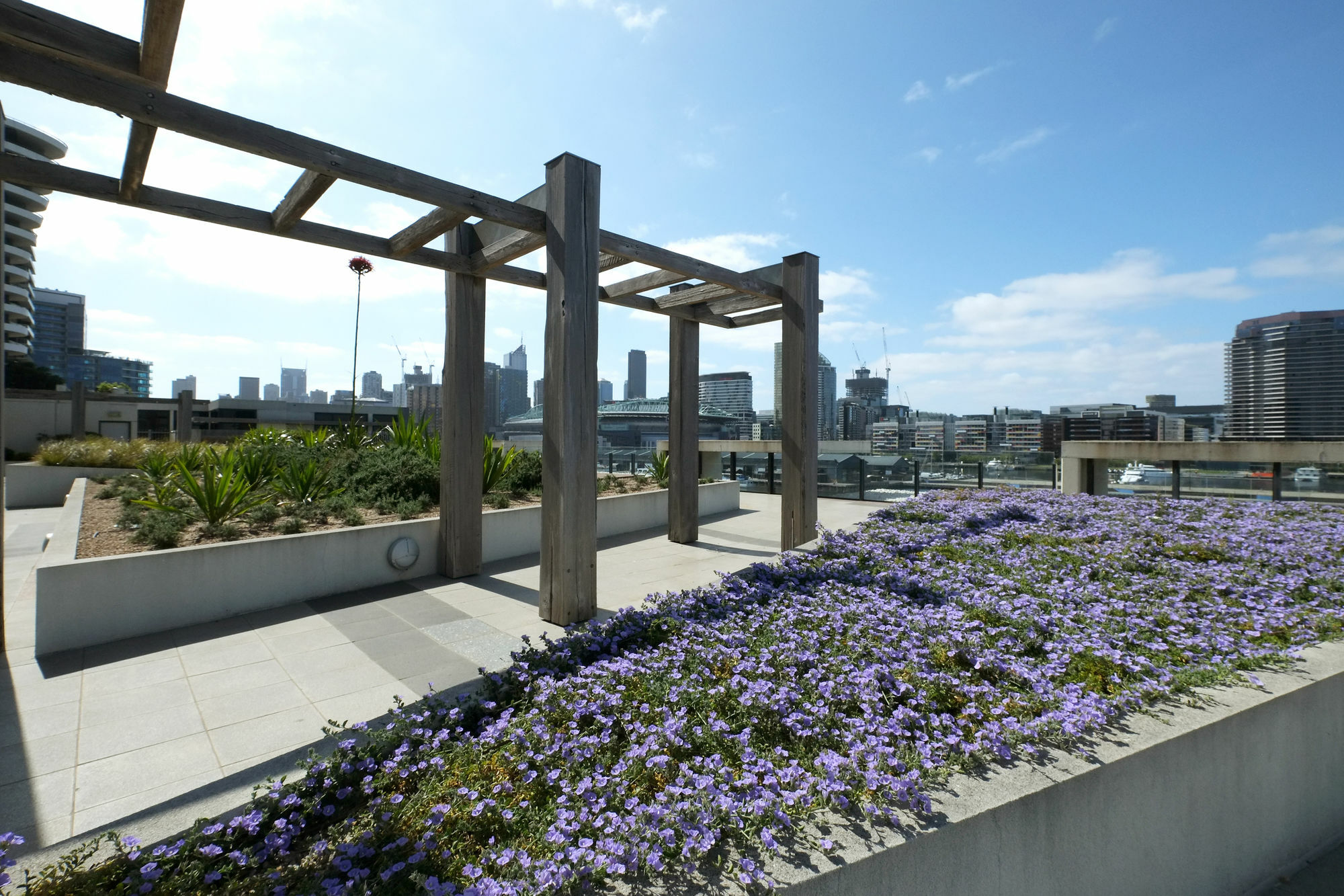 Acd Apartments Melbourne Dış mekan fotoğraf